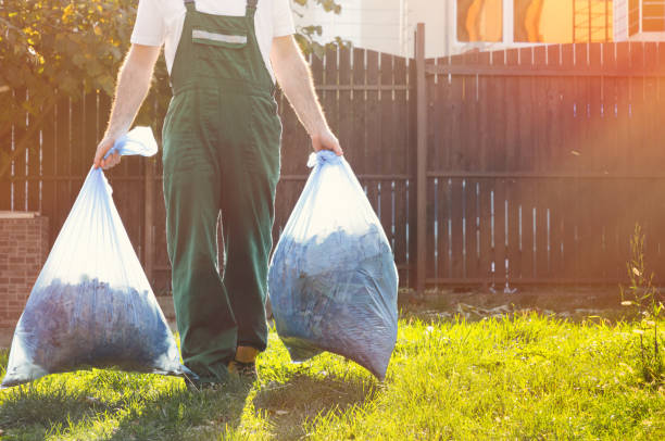 Best Hoarding Cleanup  in Olive Hill, KY